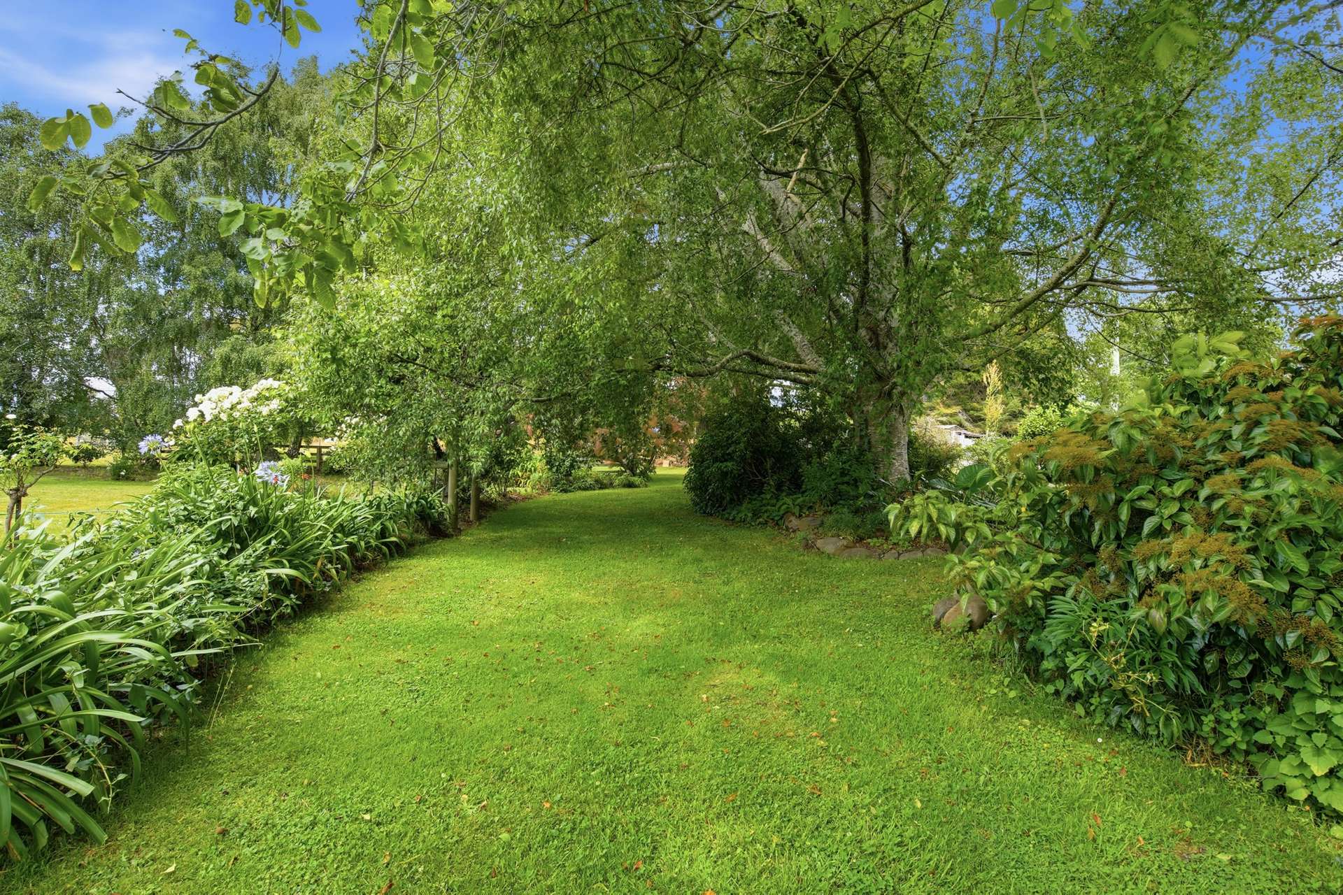 496 Blackwood Creek Road (access Via Hodgetts Road), Blackwood Creek Sold by Farmbuy.com - image 18
