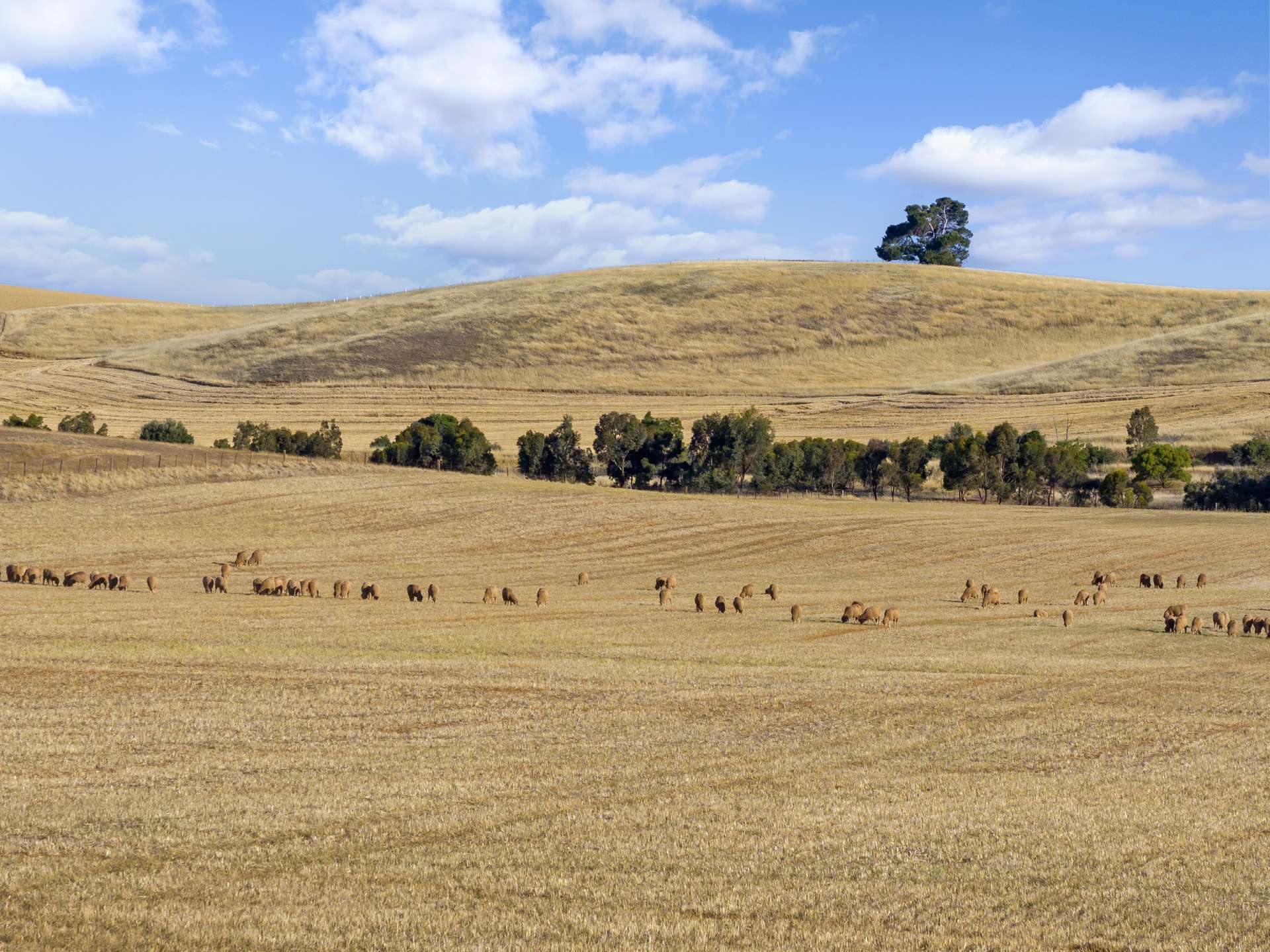 'Khiyam' Thiele Highway, Kapunda Sold by Farmbuy.com - image 18