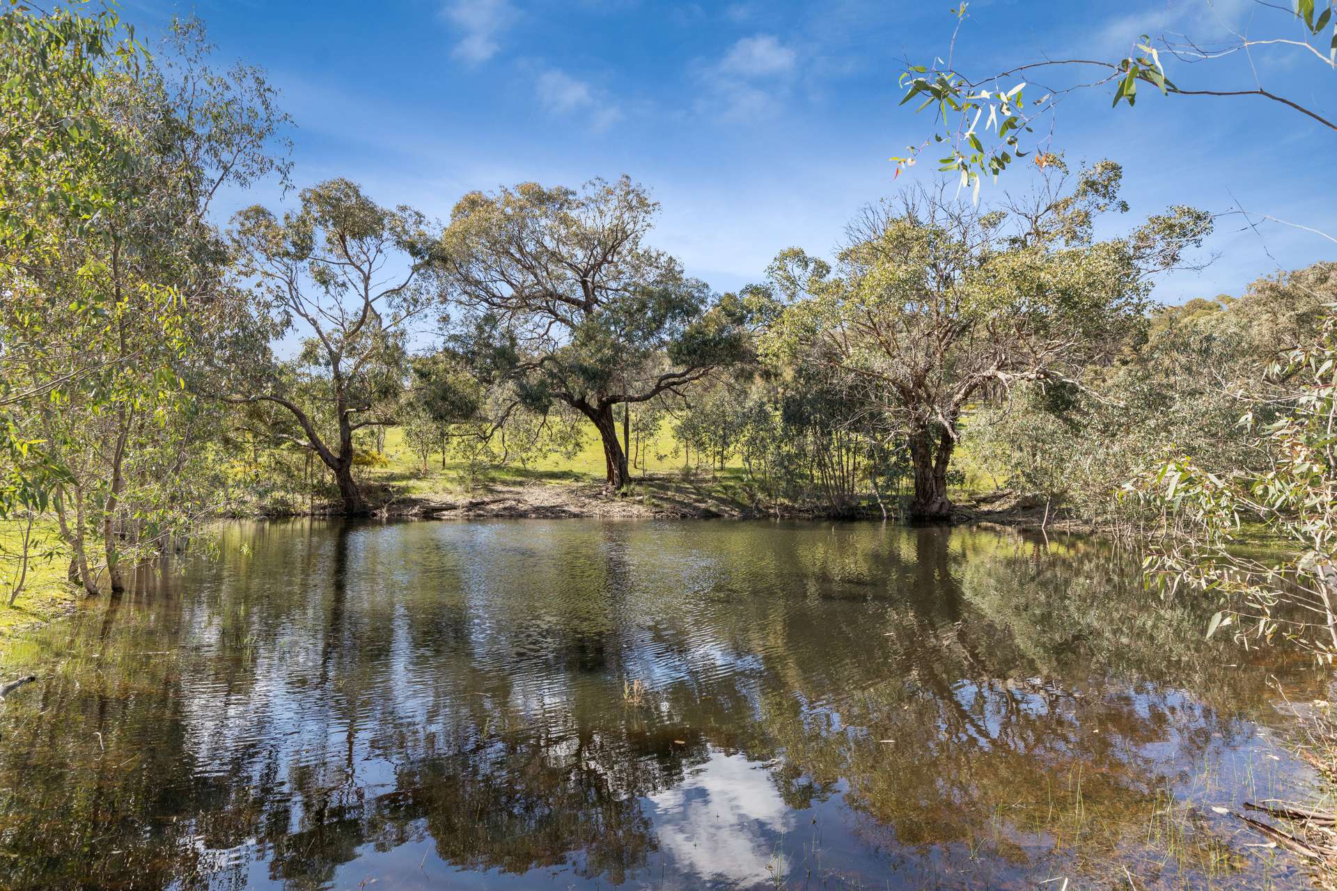 1010 Northern Highway, Heathcote For Sale by Farmbuy.com - image 4