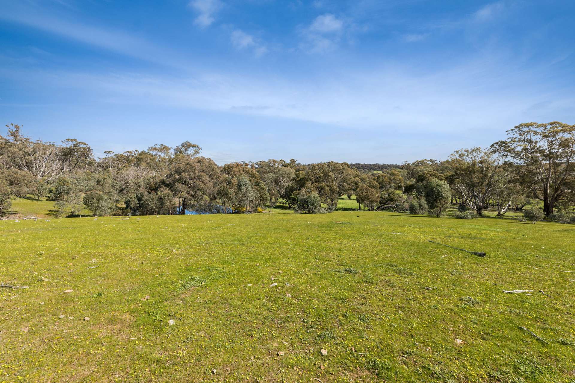 1010 Northern Highway, Heathcote For Sale by Farmbuy.com - image 14