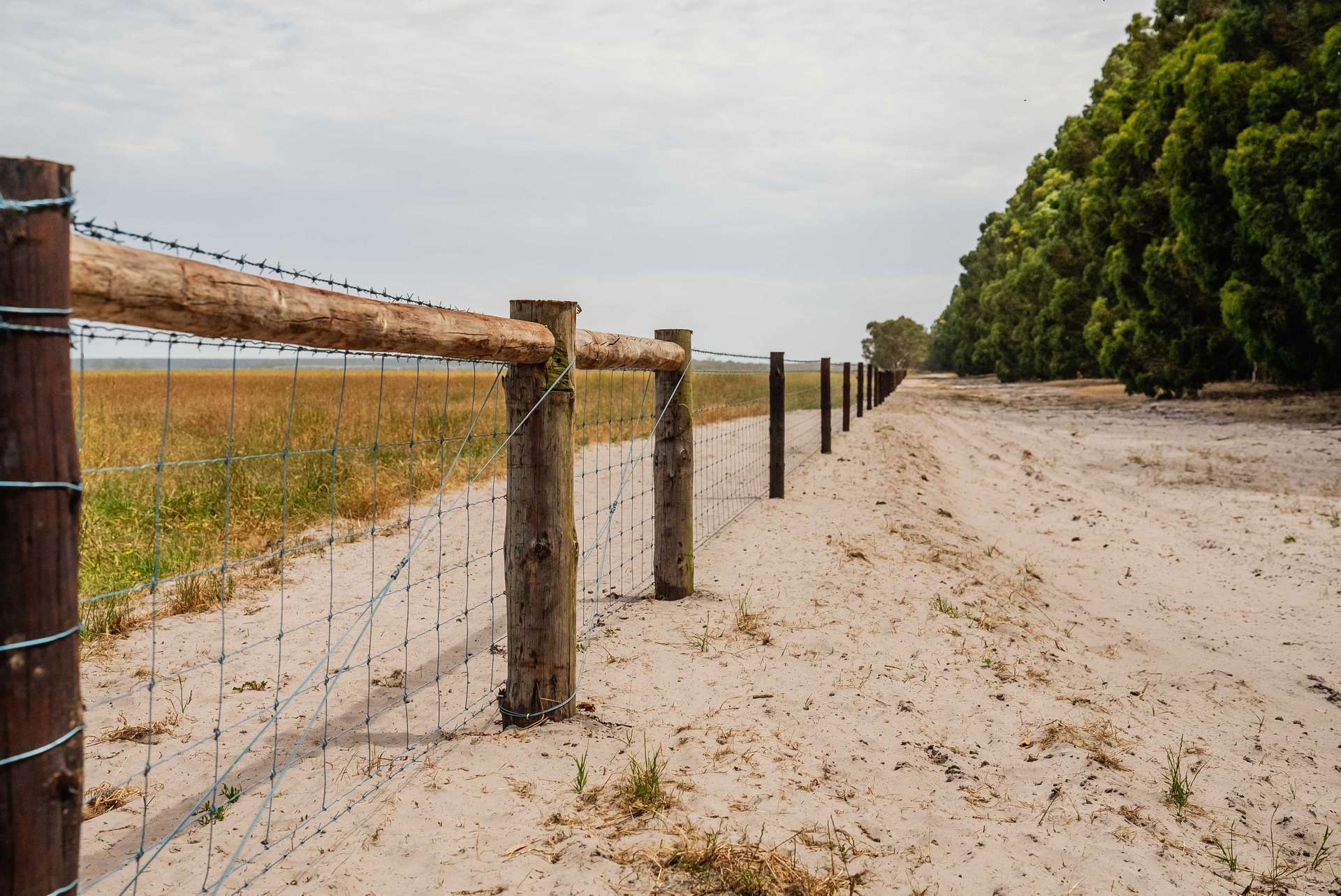 Wattle Range For Sale by Farmbuy.com - image 8