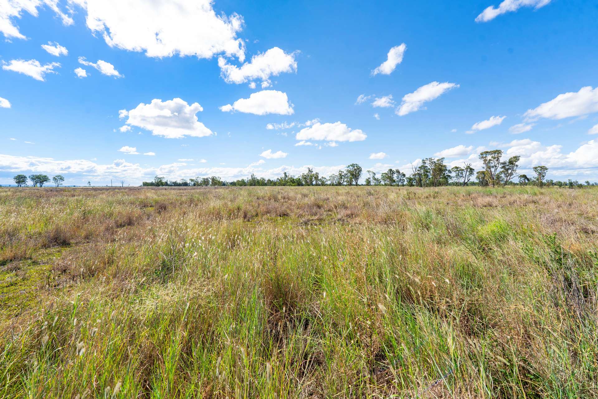 1989 Millmerran Leyburn Road, Tummaville Sold by Farmbuy.com - image 14