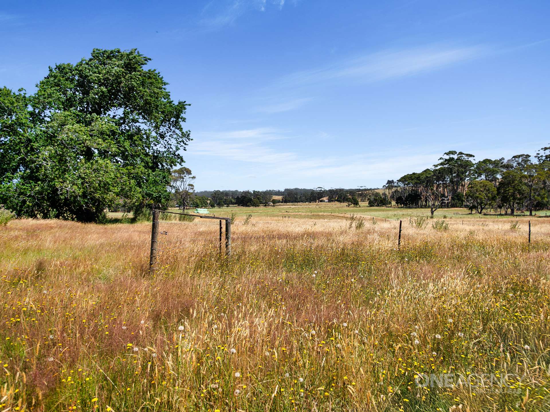 37 Grooms Cross Road, Irishtown For Sale by Farmbuy.com - image 27