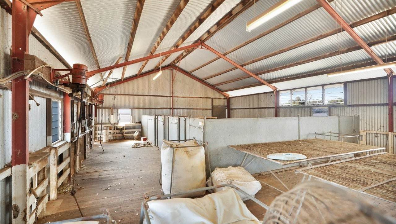 128 Berida-Bullagreen Road, Collie For Sale by Farmbuy.com - image 30