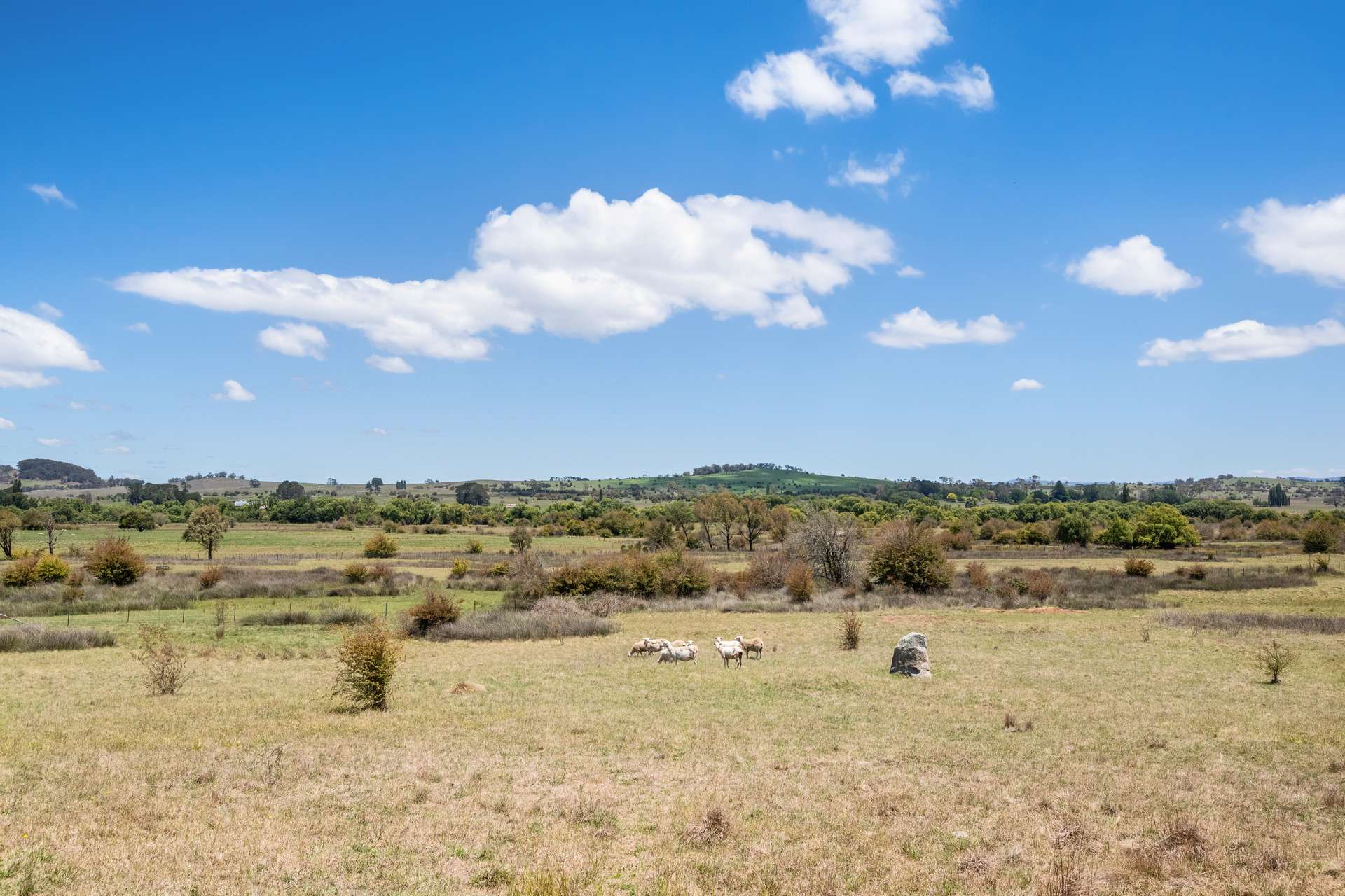 520 Majors Creek Road, Braidwood For Sale by Farmbuy.com - image 31