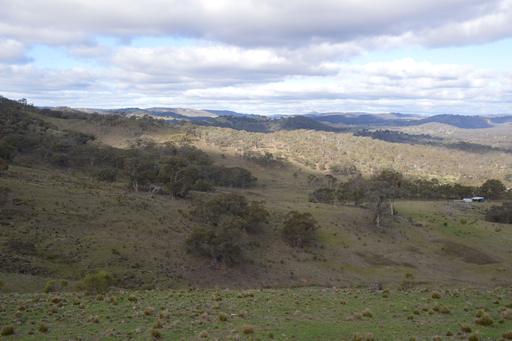 1453 Windeyer Road, Mudgee NSW 2850