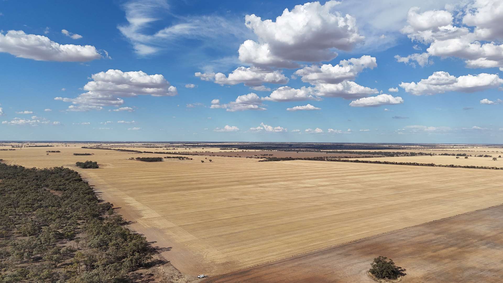 "McErvales" Culgoa-Ultima Road, Culgoa For Sale by Farmbuy.com - image 4
