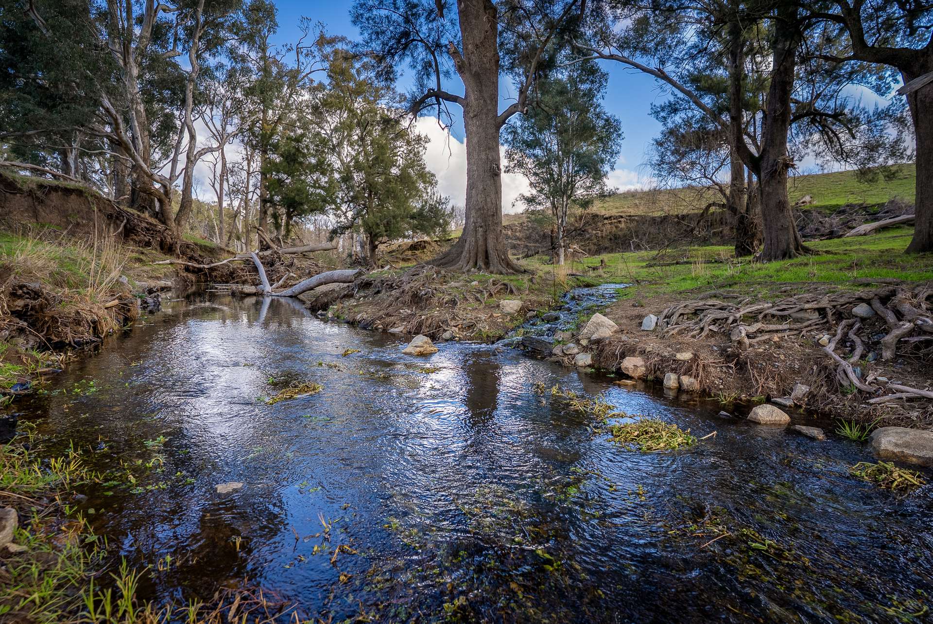 1507 Pine Mount Road, Woodstock For Sale by Farmbuy.com - image 20