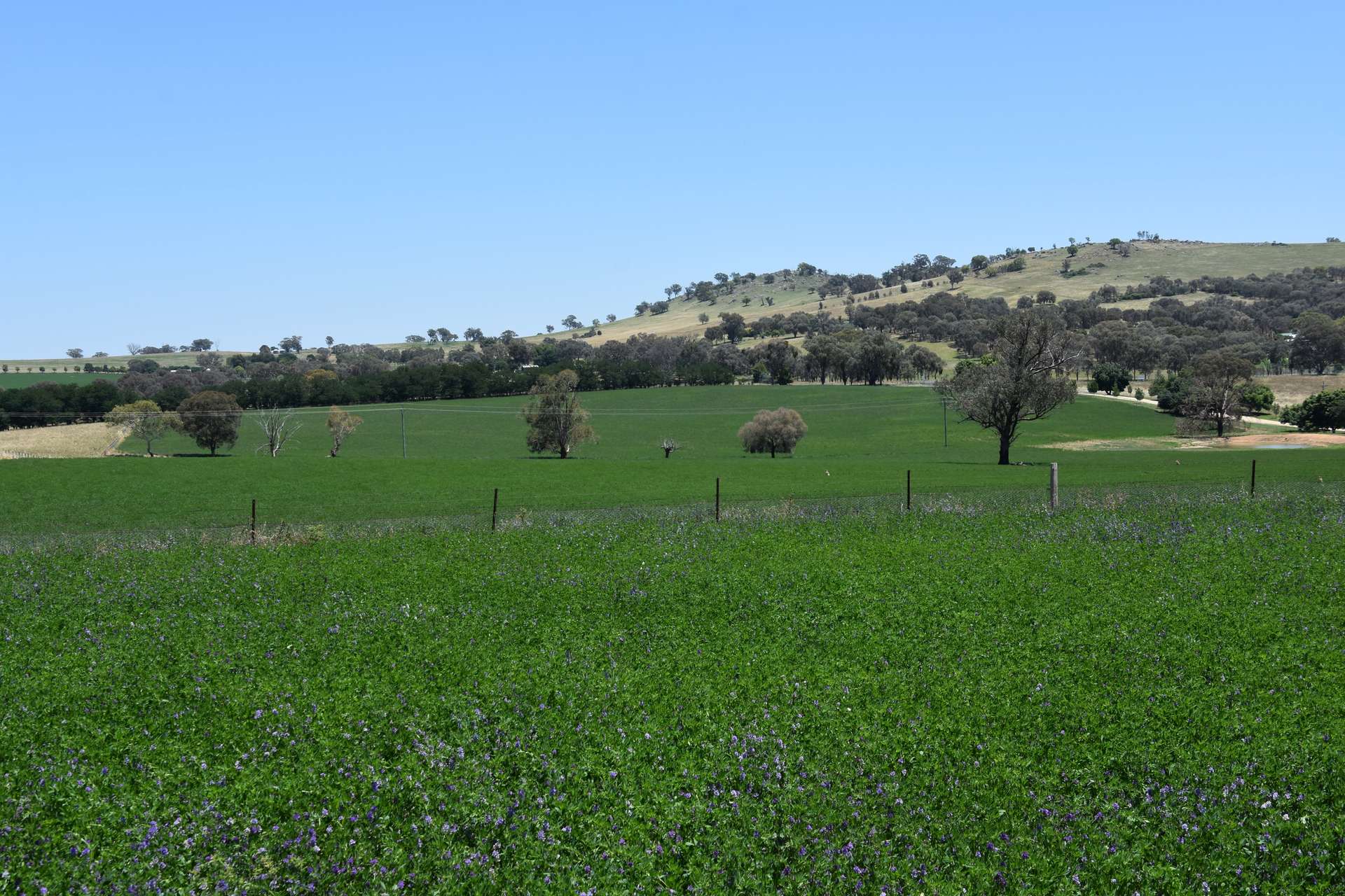 1507 Pine Mount Road, Woodstock For Sale by Farmbuy.com - image 22