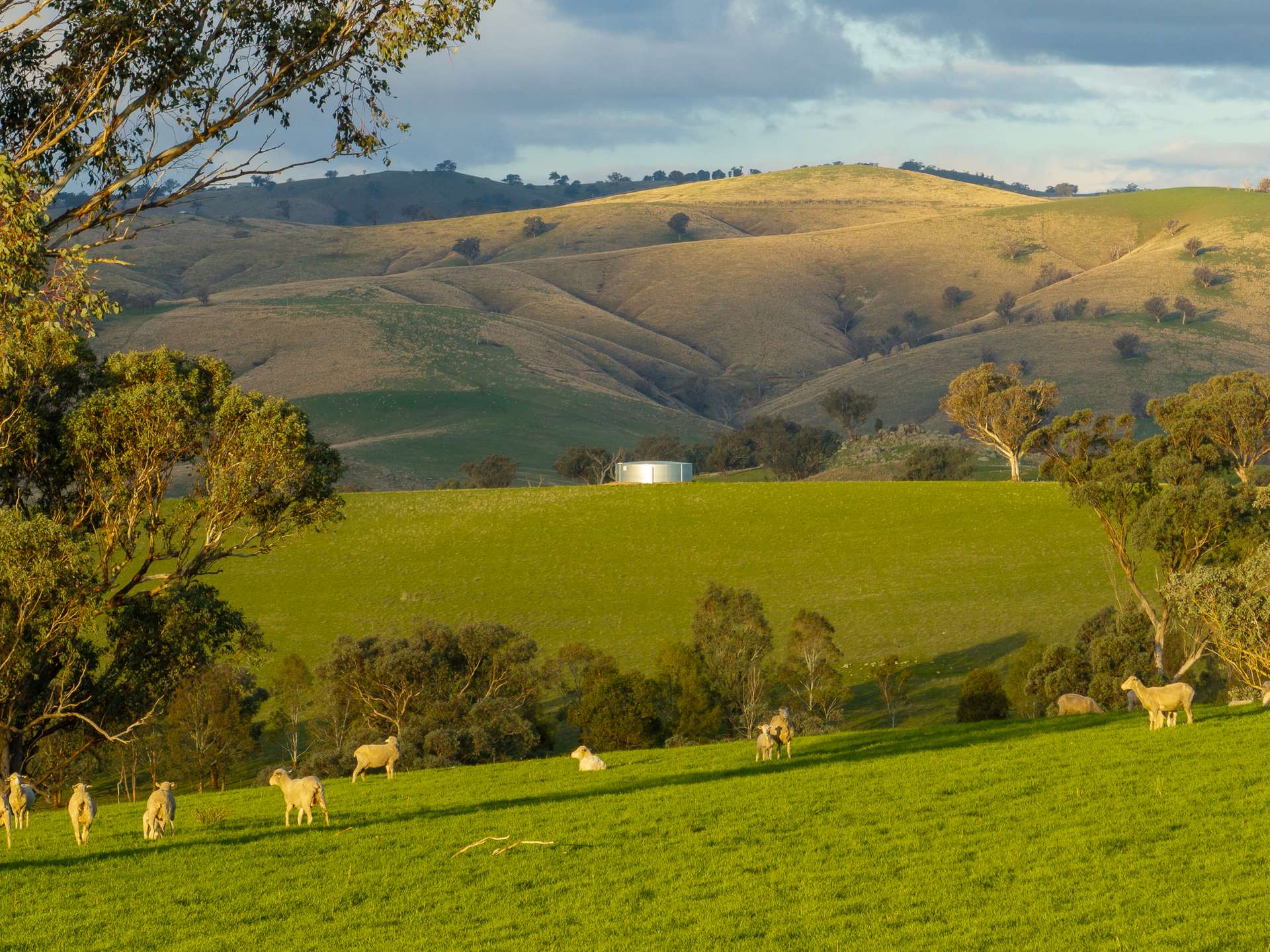 1507 Pine Mount Road, Woodstock For Sale by Farmbuy.com - image 31