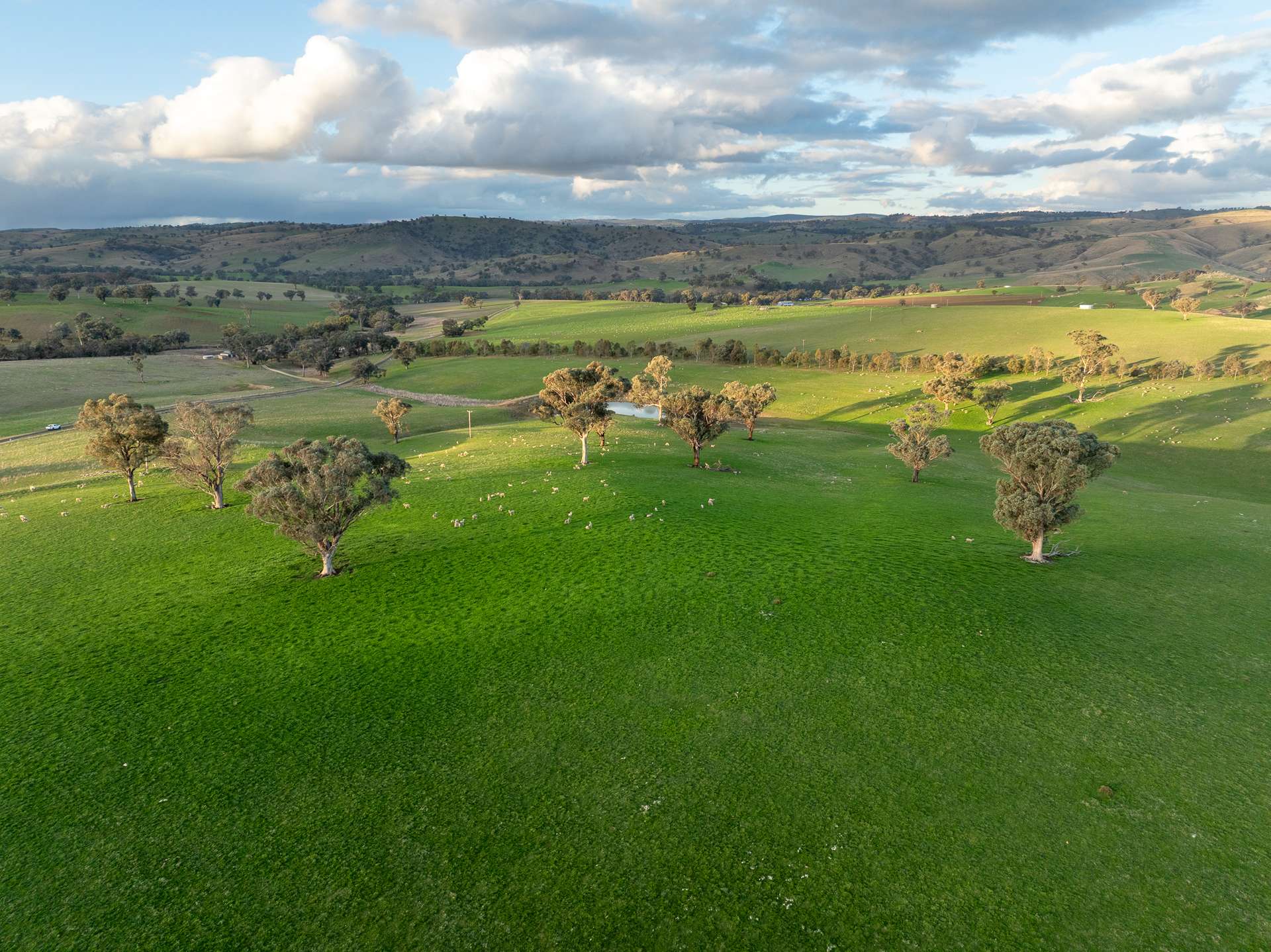 1507 Pine Mount Road, Woodstock For Sale by Farmbuy.com - image 34