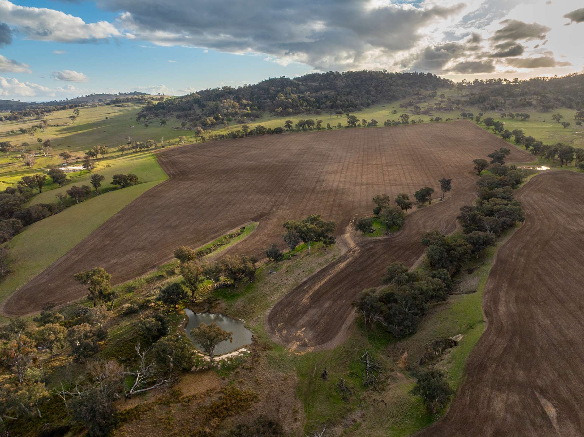 1507 Pine Mount Road, Woodstock For Sale by Farmbuy.com - image 24