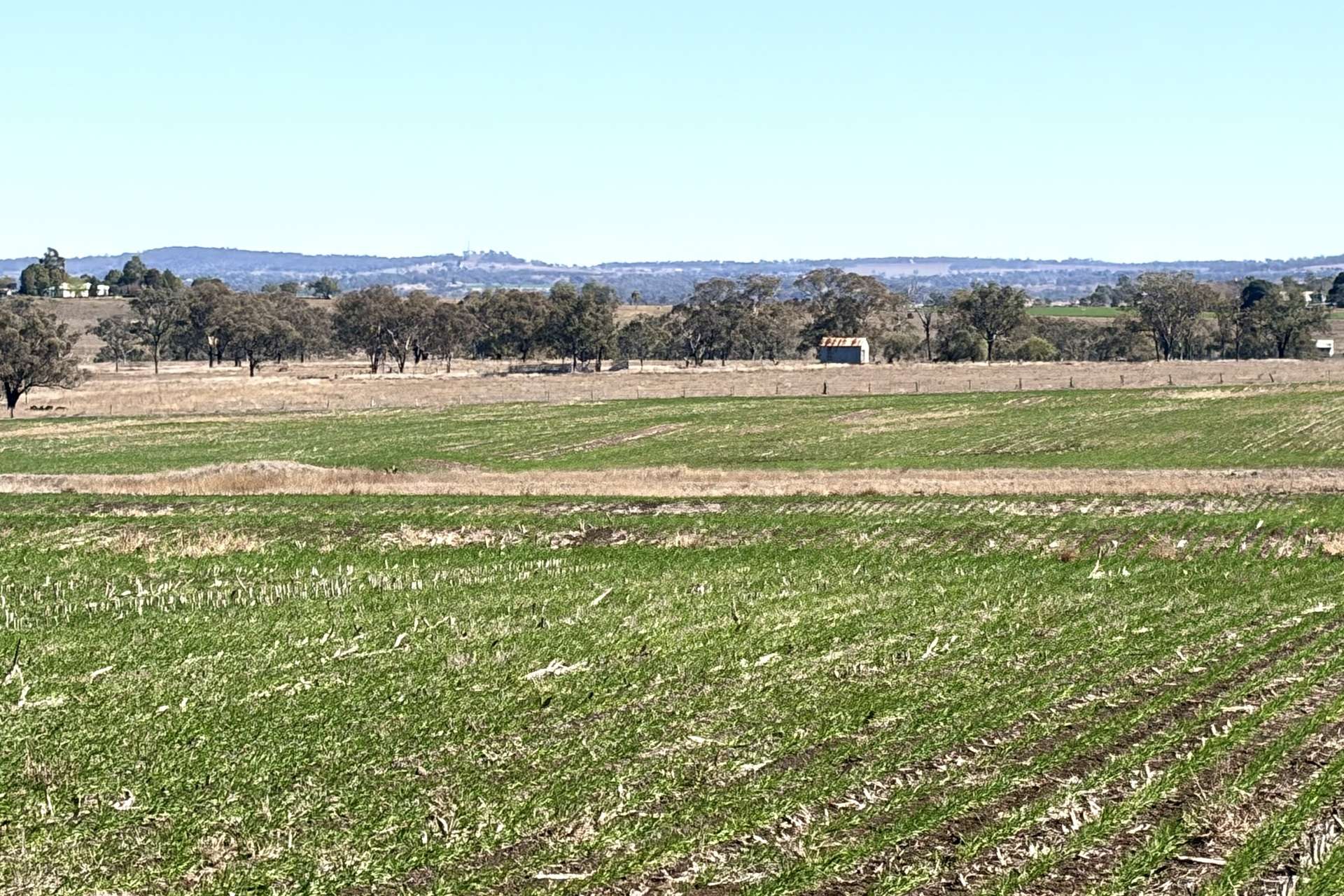 Lot 50 Rosenberger Road, Wyreema For Sale by Farmbuy.com - image 16