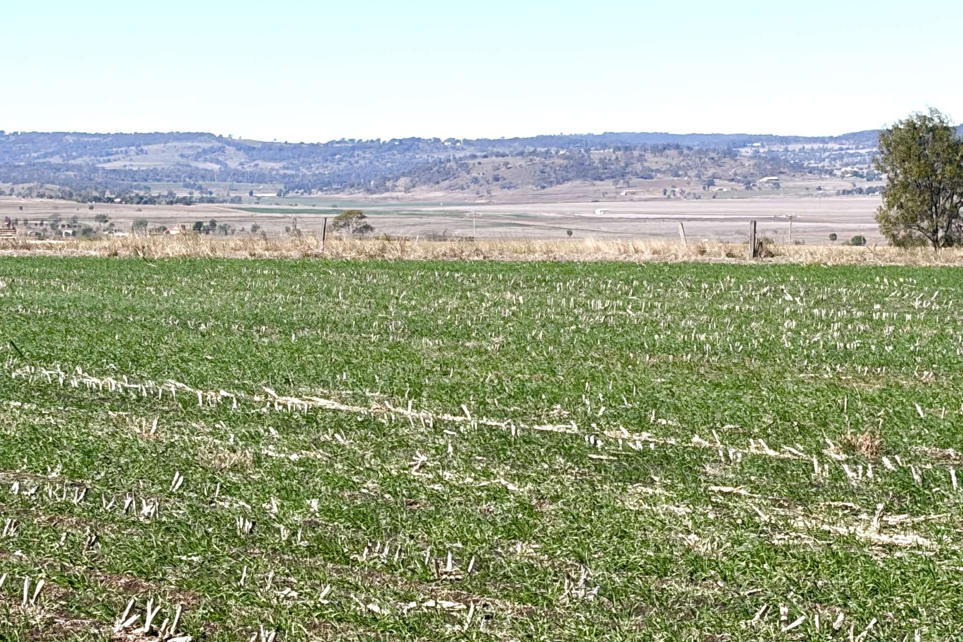 Lot 50 Rosenberger Road, Wyreema For Sale by Farmbuy.com - image 3