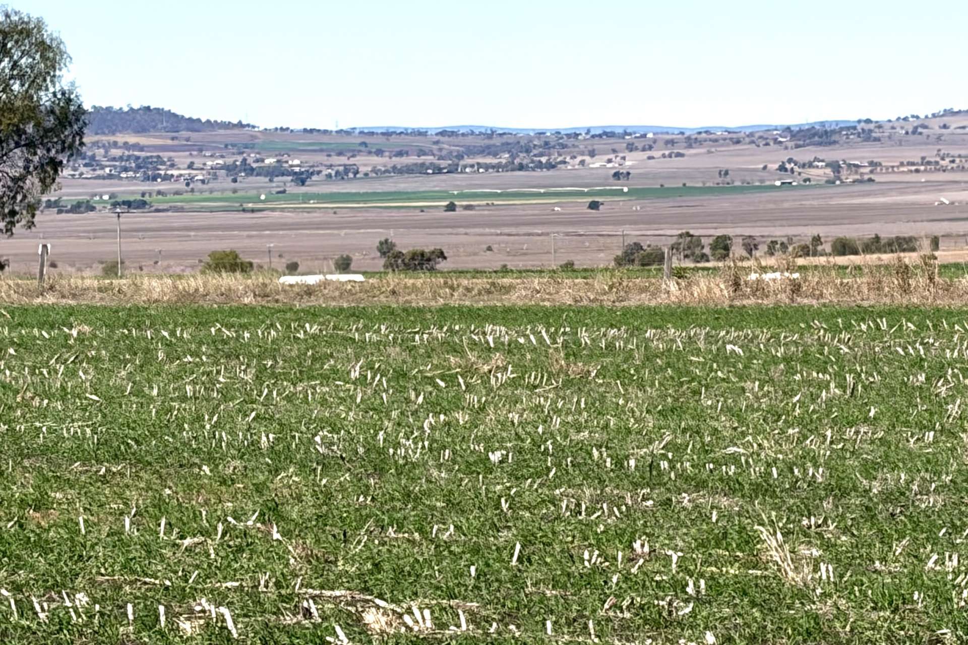 Lot 50 Rosenberger Road, Wyreema For Sale by Farmbuy.com - image 5