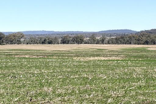 Lot 50 Rosenberger Road, Wyreema QLD 4352