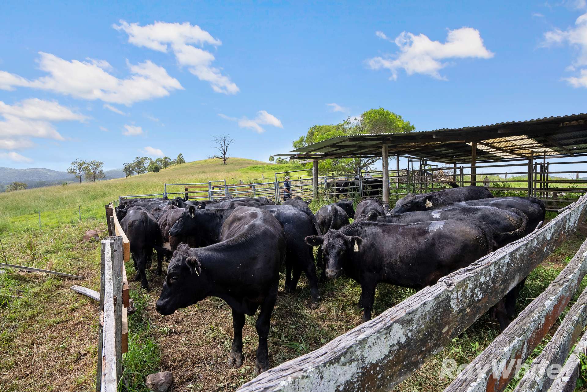 345 Markwell Back Road, Bulahdelah For Sale by Farmbuy.com - image 13