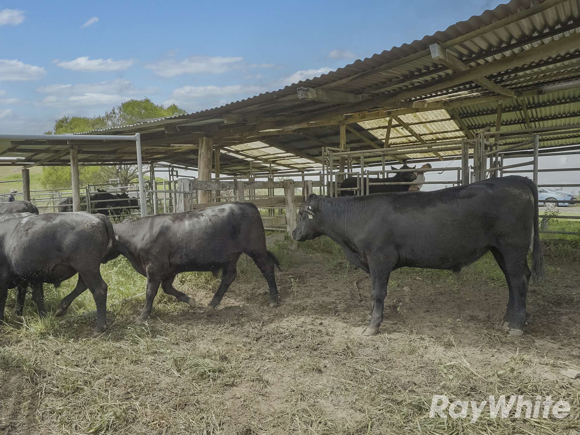 345 Markwell Back Road, Bulahdelah For Sale by Farmbuy.com - image 14