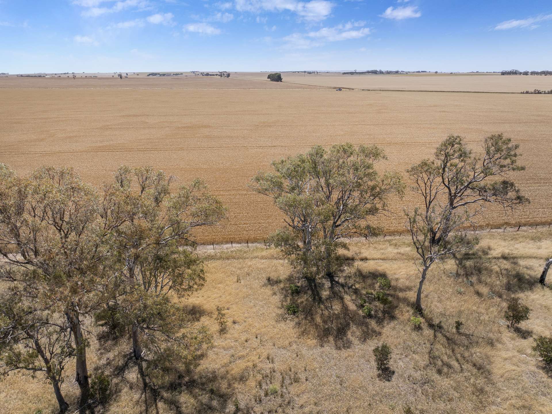 'Ryans' Severins Road, Freeling Sold by Farmbuy.com - image 8