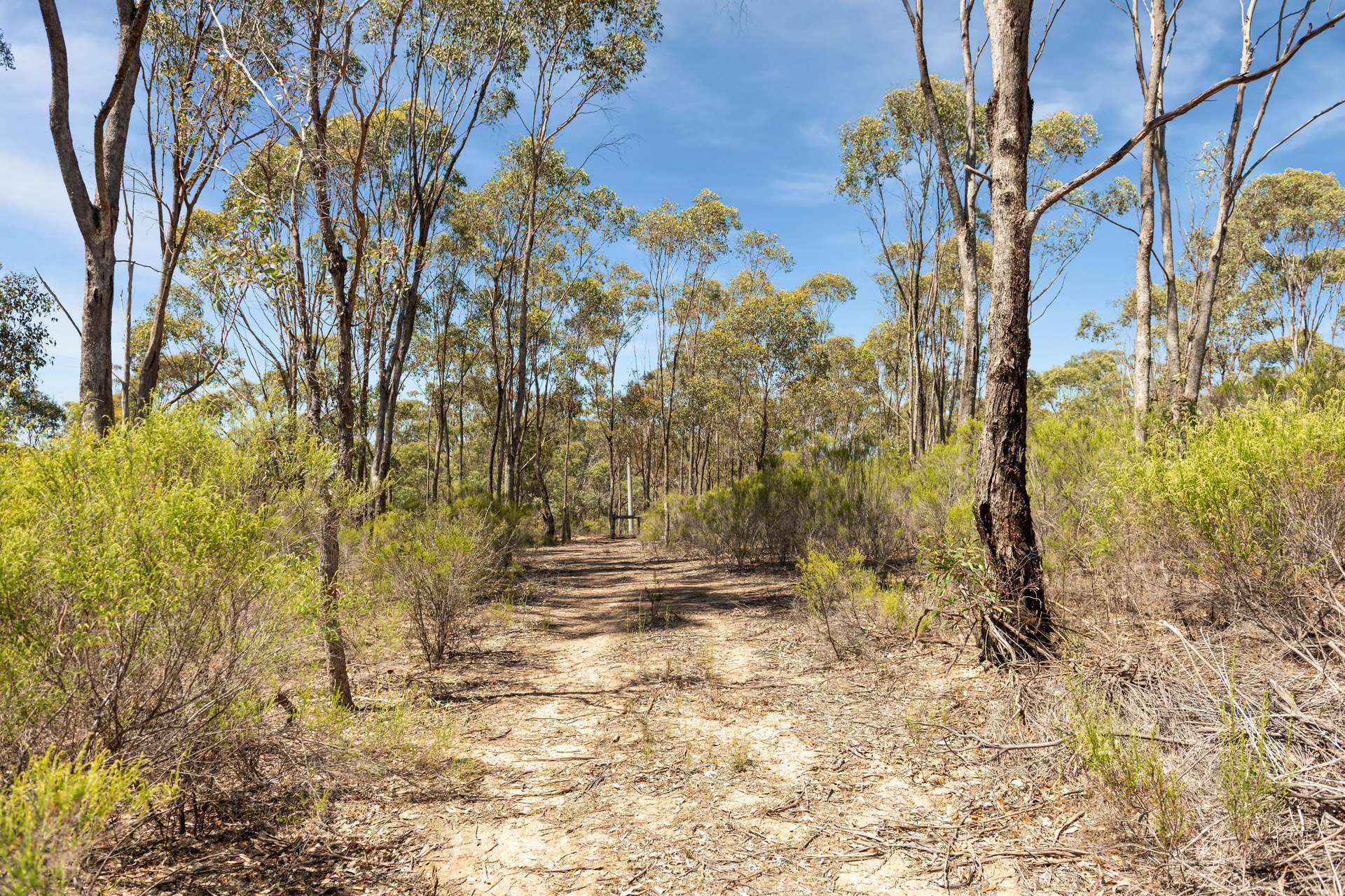 Lot 40 Lot 40 Hakea Court, Heathcote For Sale by Farmbuy.com - image 3