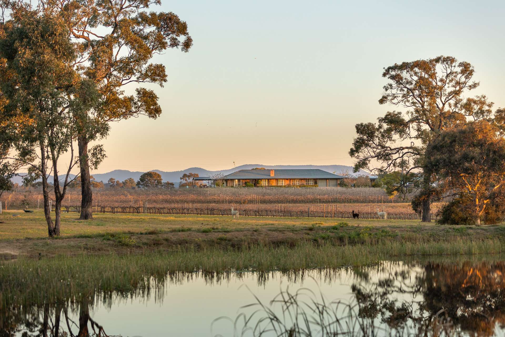 168 Lomas Lane, Nulkaba For Sale by Farmbuy.com - image 10