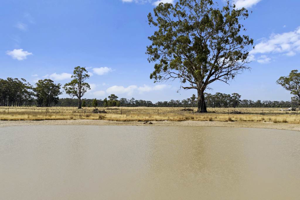 Nagambie-Locksley Road, Tabilk VIC 3607