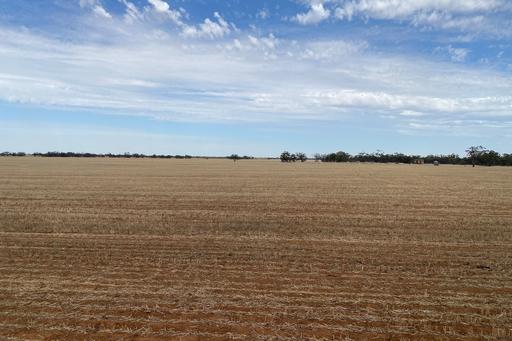 Farm Sold - VIC - Hopetoun - 3396 - CROPPING / GRAZING LAND - HOPETOUN-GOYURA DISTRICT 