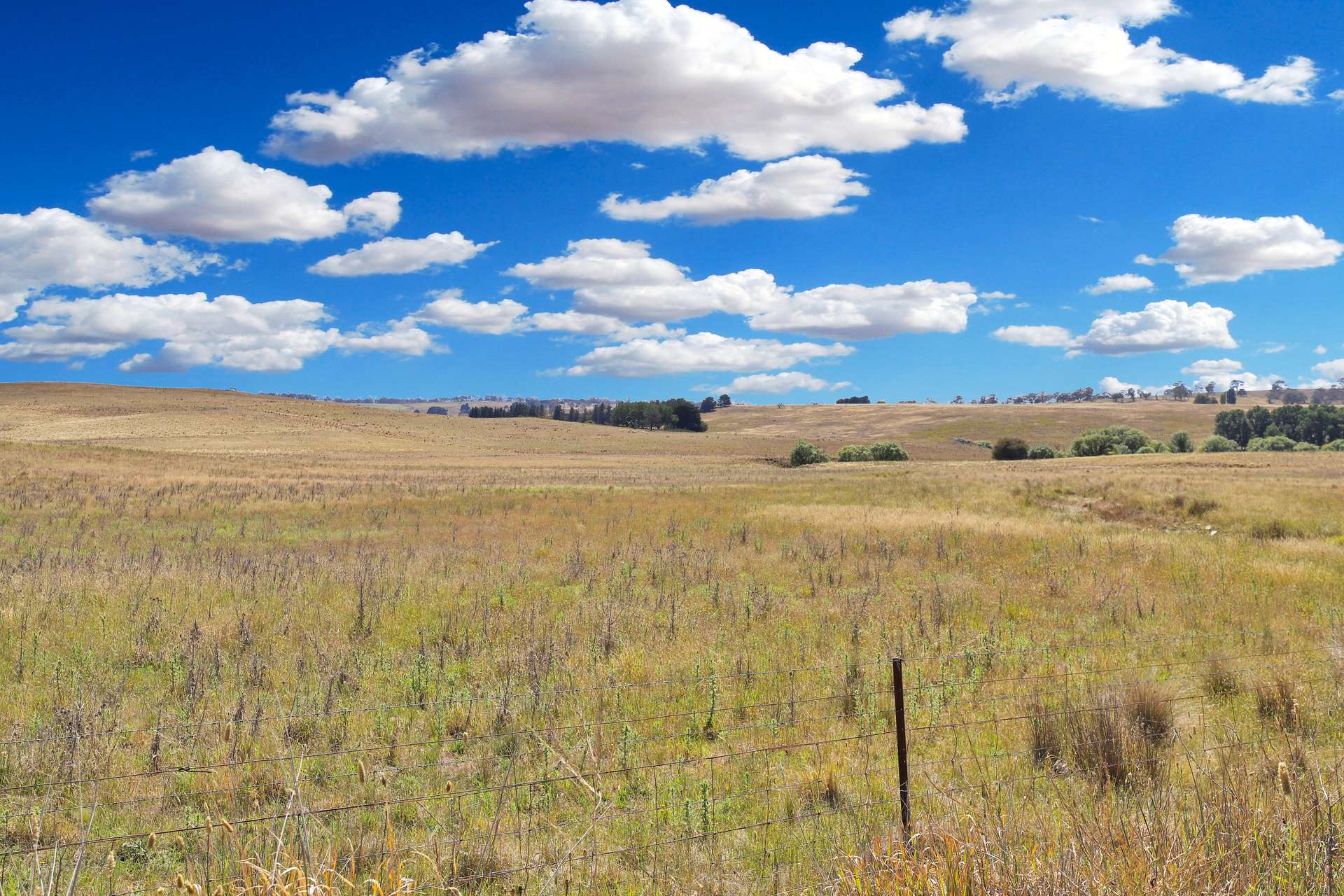 77 Aerodrome Road, Bombala Sold by Farmbuy.com - image 22