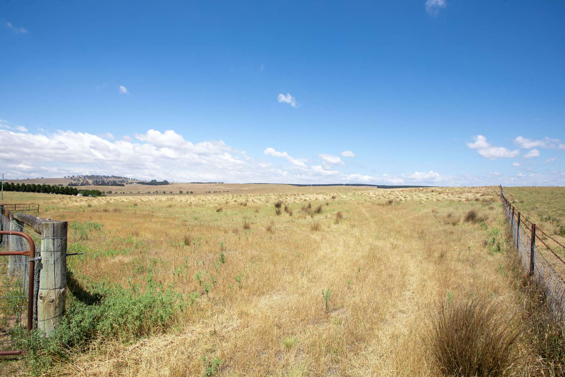 77 Aerodrome Road, Bombala Sold by Farmbuy.com - image 13