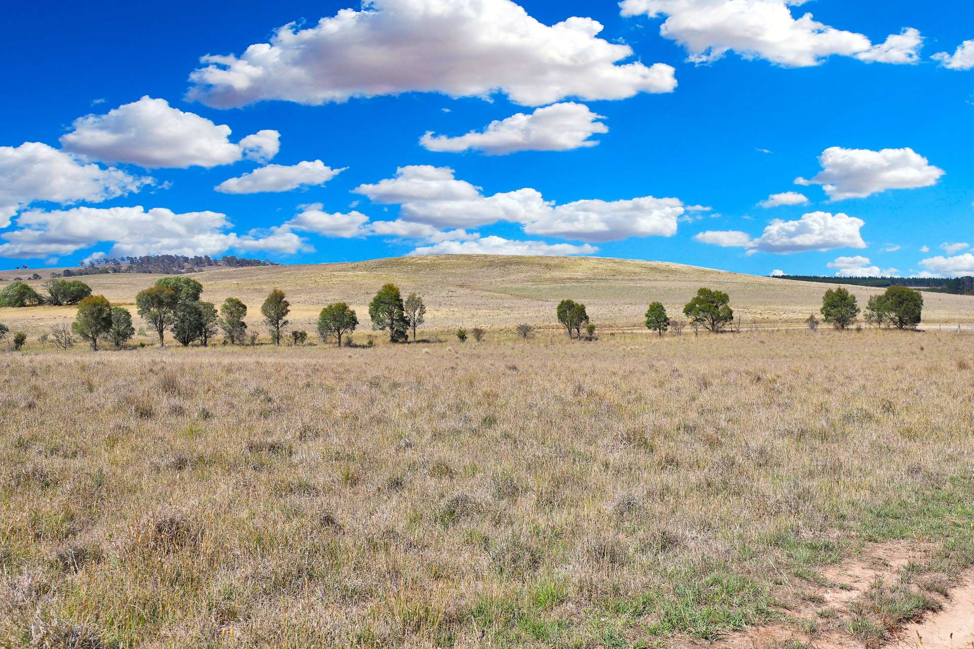 77 Aerodrome Road, Bombala Sold by Farmbuy.com - image 20