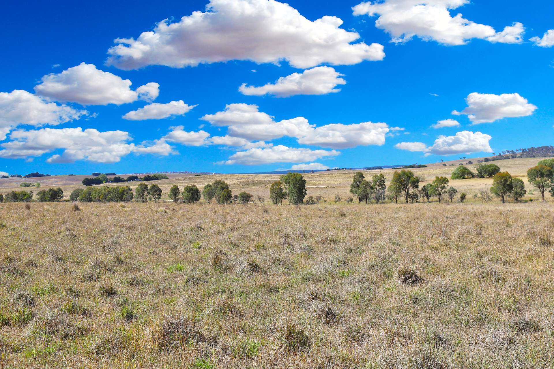 77 Aerodrome Road, Bombala Sold by Farmbuy.com - image 21