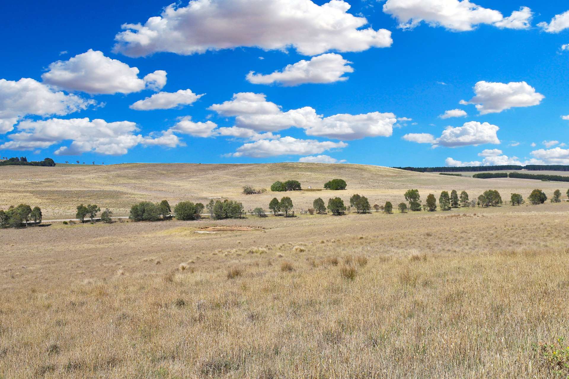 77 Aerodrome Road, Bombala Sold by Farmbuy.com - image 17
