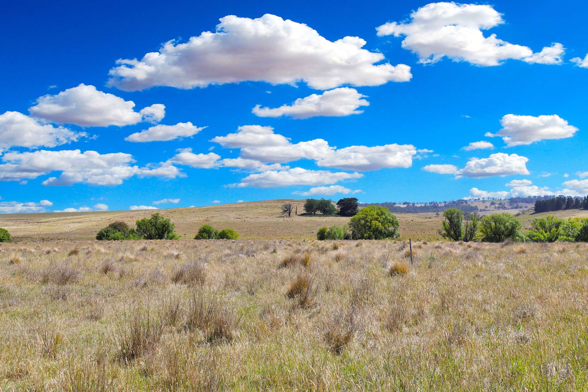 77 Aerodrome Road, Bombala Sold by Farmbuy.com - image 23