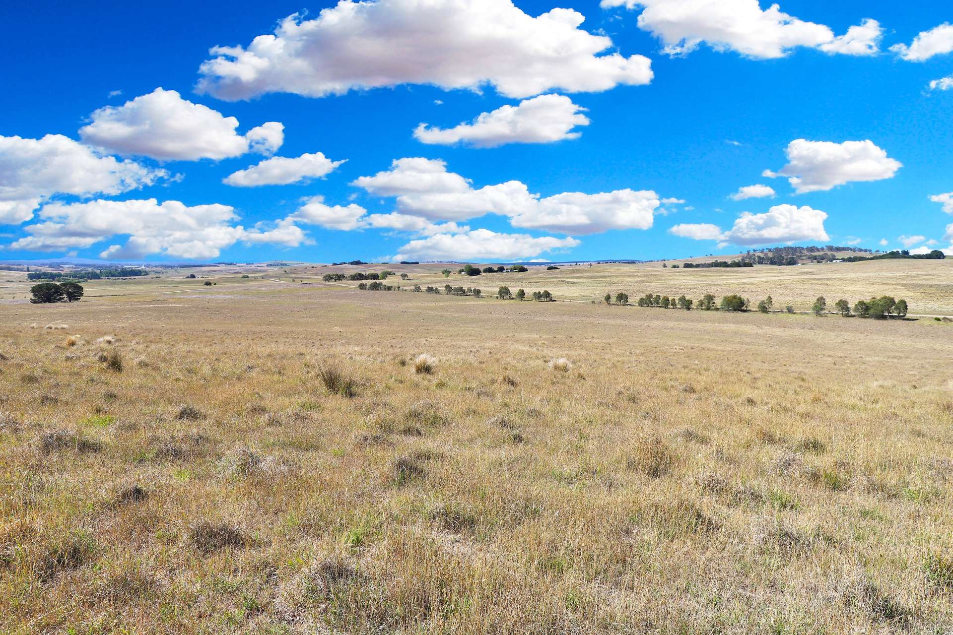 77 Aerodrome Road, Bombala Sold by Farmbuy.com - image 18