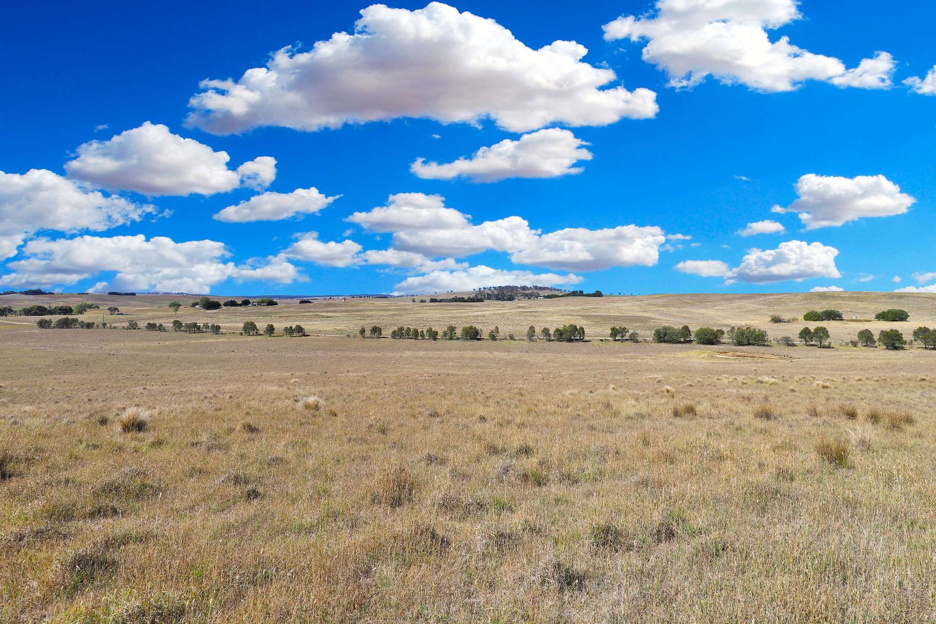 77 Aerodrome Road, Bombala Sold by Farmbuy.com - image 19