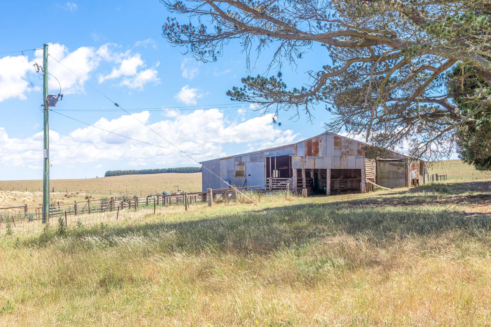 77 Aerodrome Road, Bombala Sold by Farmbuy.com - image 3