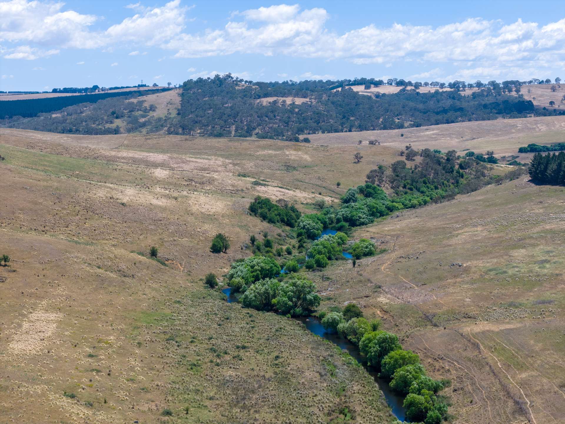 77 Aerodrome Road, Bombala Sold by Farmbuy.com - image 24