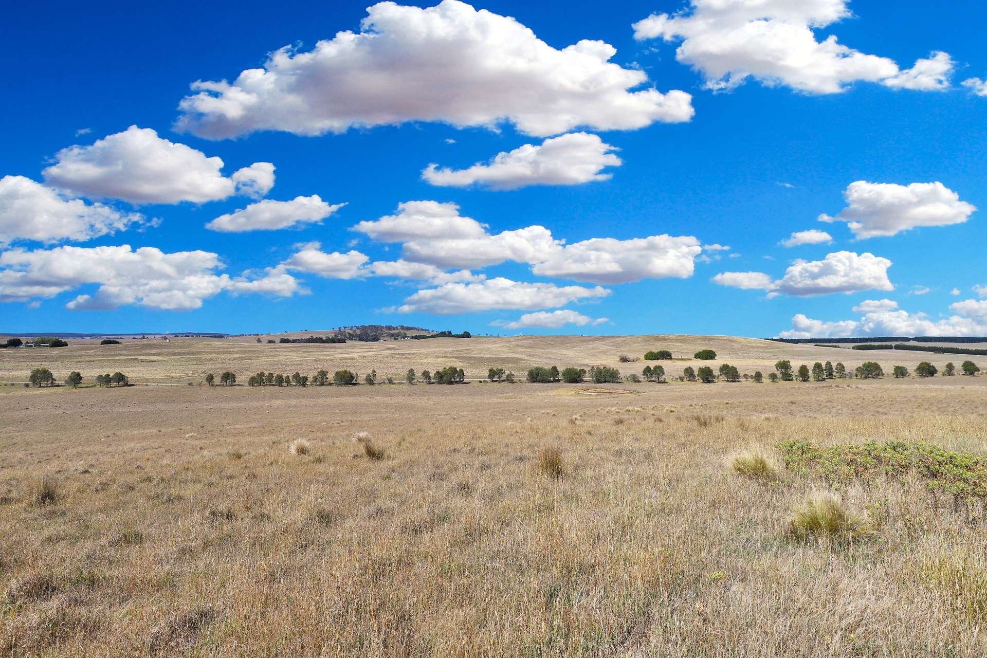 77 Aerodrome Road, Bombala Sold by Farmbuy.com - image 16