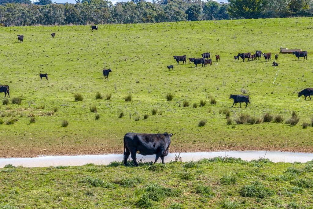 Lot 85&comma; 1182 Yalbraith Road, Taralga NSW 2580