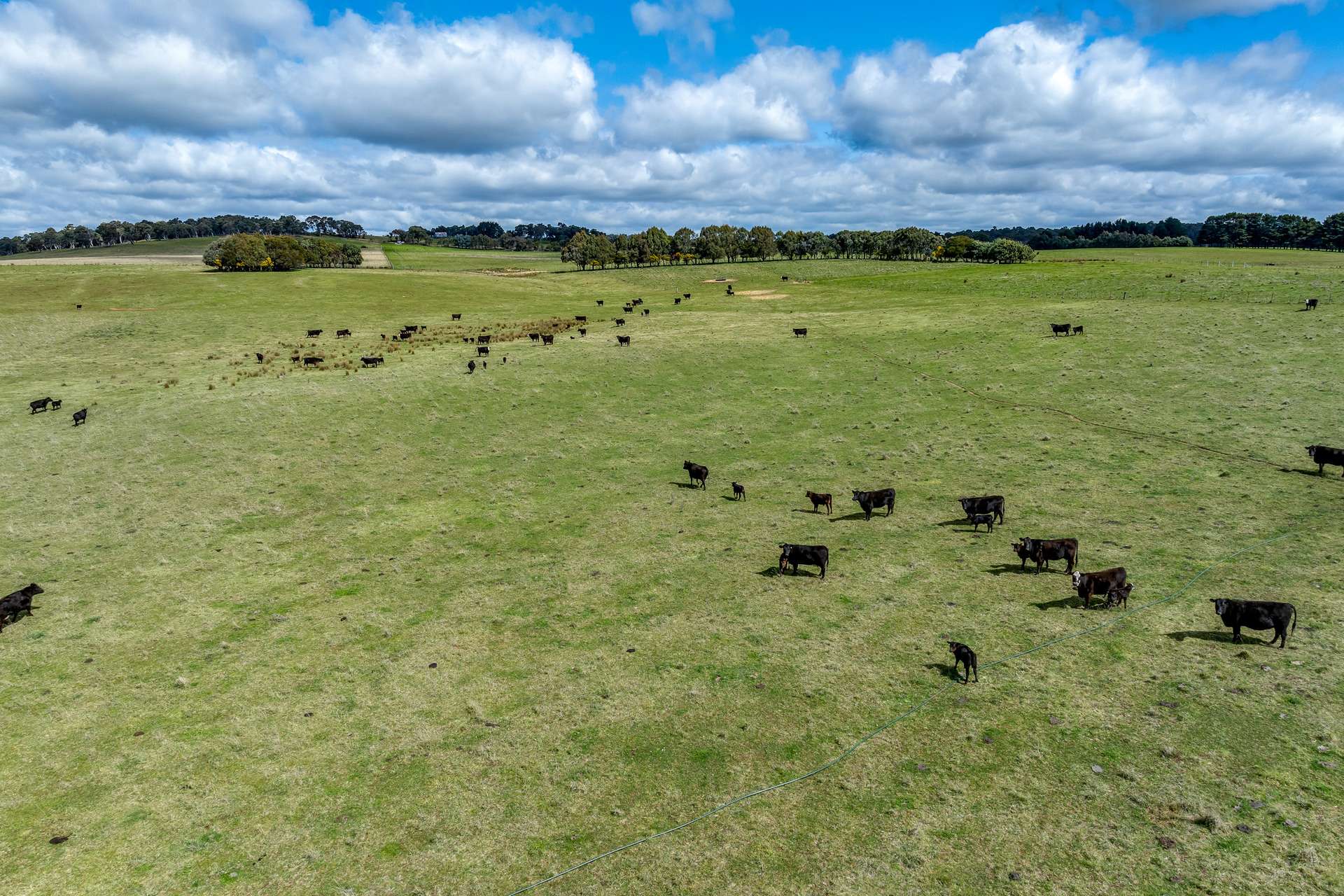 Lot 85, 1182 Yalbraith Road, Taralga For Sale by Farmbuy.com - image 5