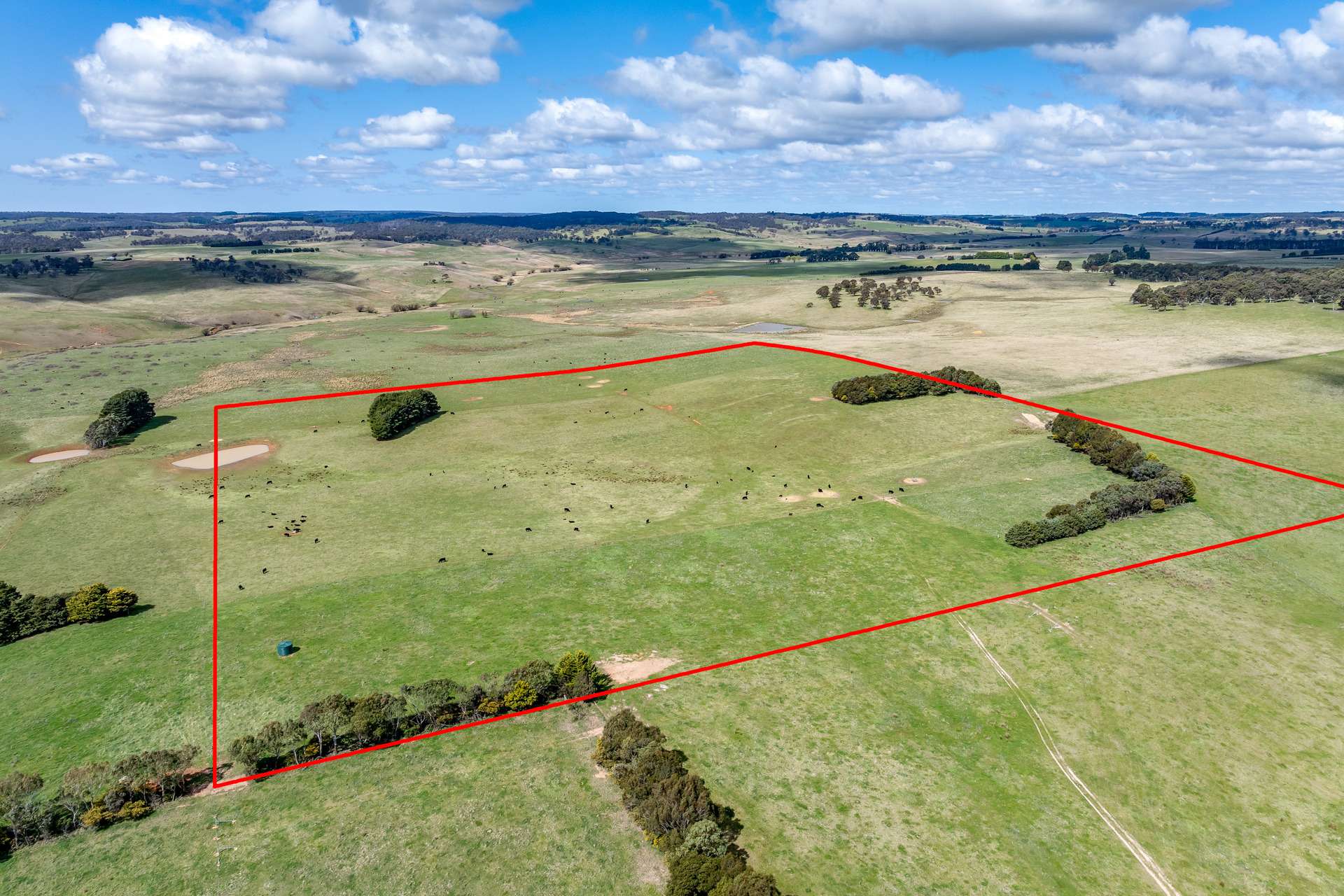 Lot 85, 1182 Yalbraith Road, Taralga For Sale by Farmbuy.com - image 1