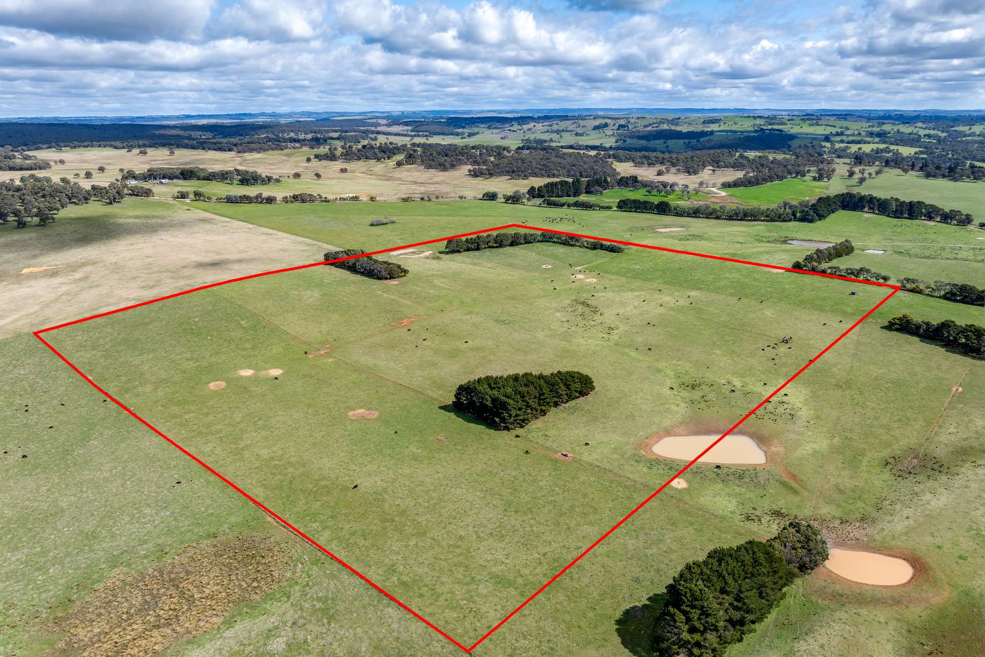 Lot 85, 1182 Yalbraith Road, Taralga For Sale by Farmbuy.com - image 4