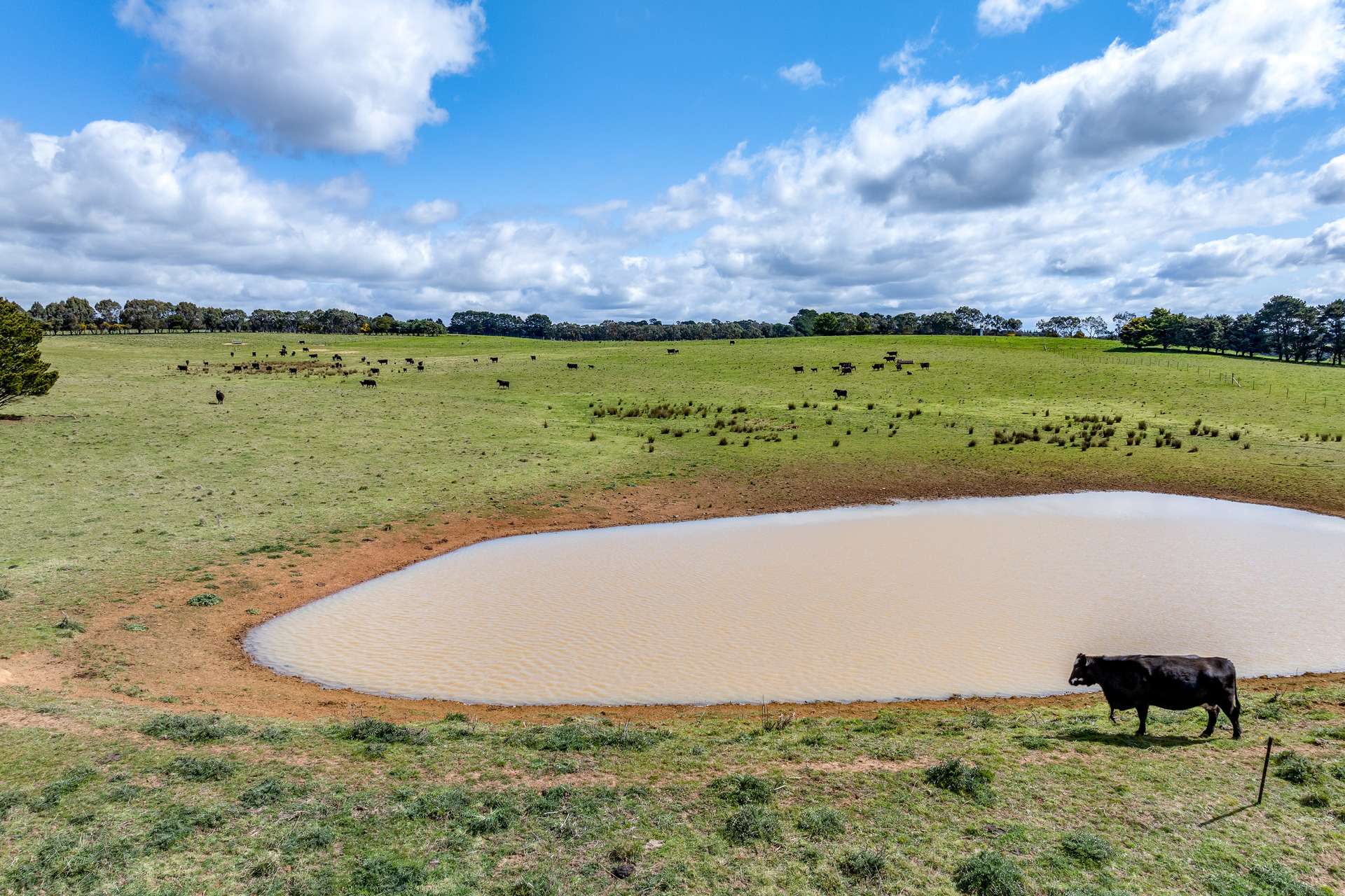 Lot 85, 1182 Yalbraith Road, Taralga For Sale by Farmbuy.com - image 3