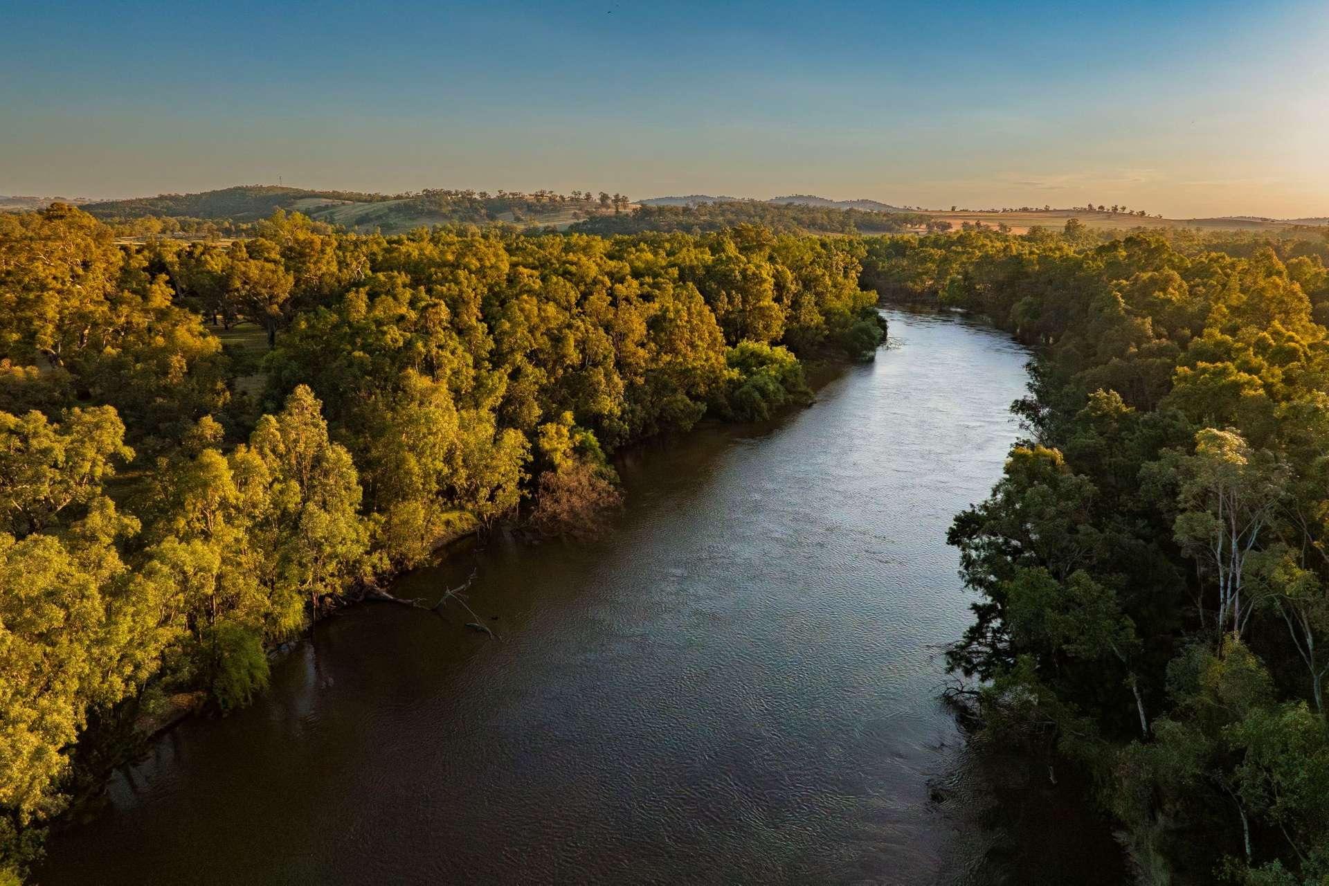 347 River Road, Wagga Wagga For Sale by Farmbuy.com - image 6