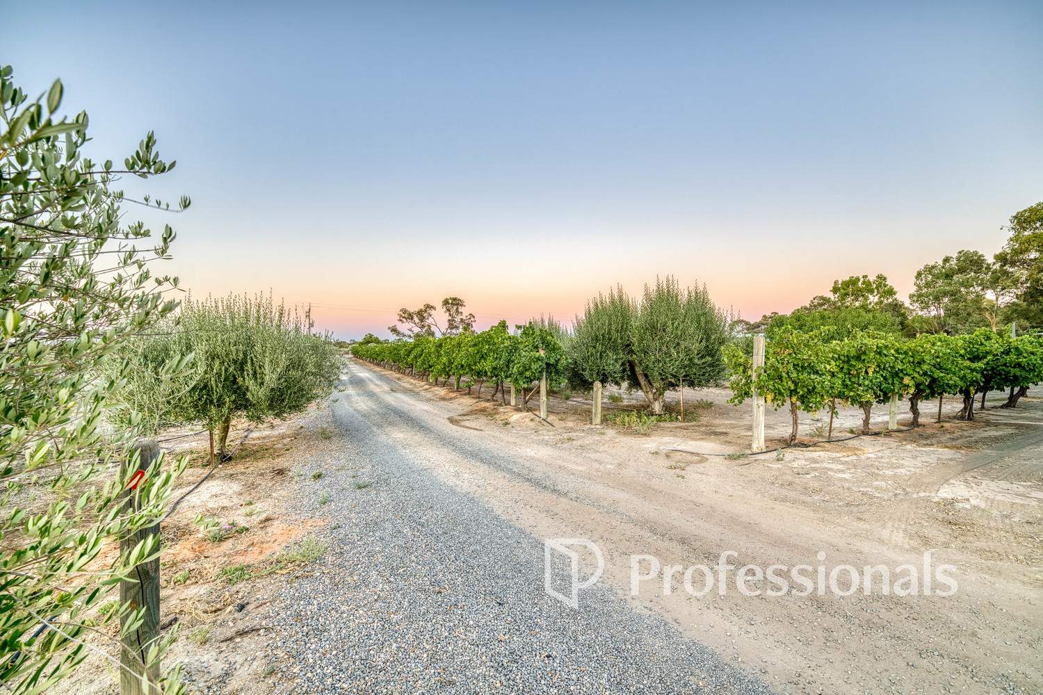 127 Murray Road, Curlwaa For Sale by Farmbuy.com - image 25