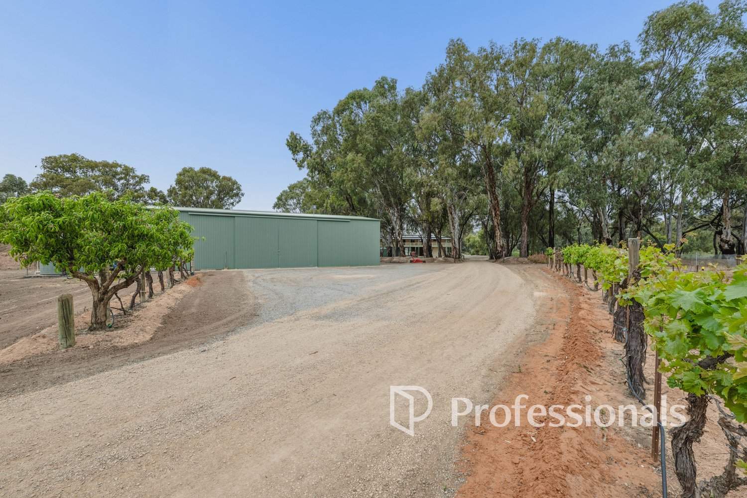 127 Murray Road, Curlwaa For Sale by Farmbuy.com - image 27