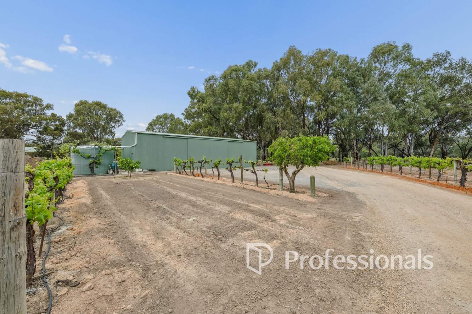 127 Murray Road, Curlwaa For Sale by Farmbuy.com - image 26