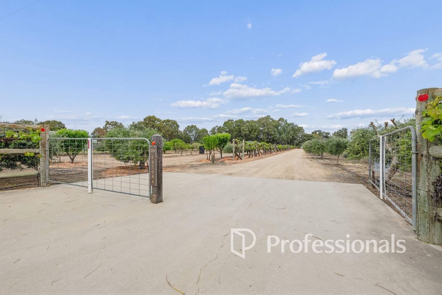 127 Murray Road, Curlwaa For Sale by Farmbuy.com - image 25