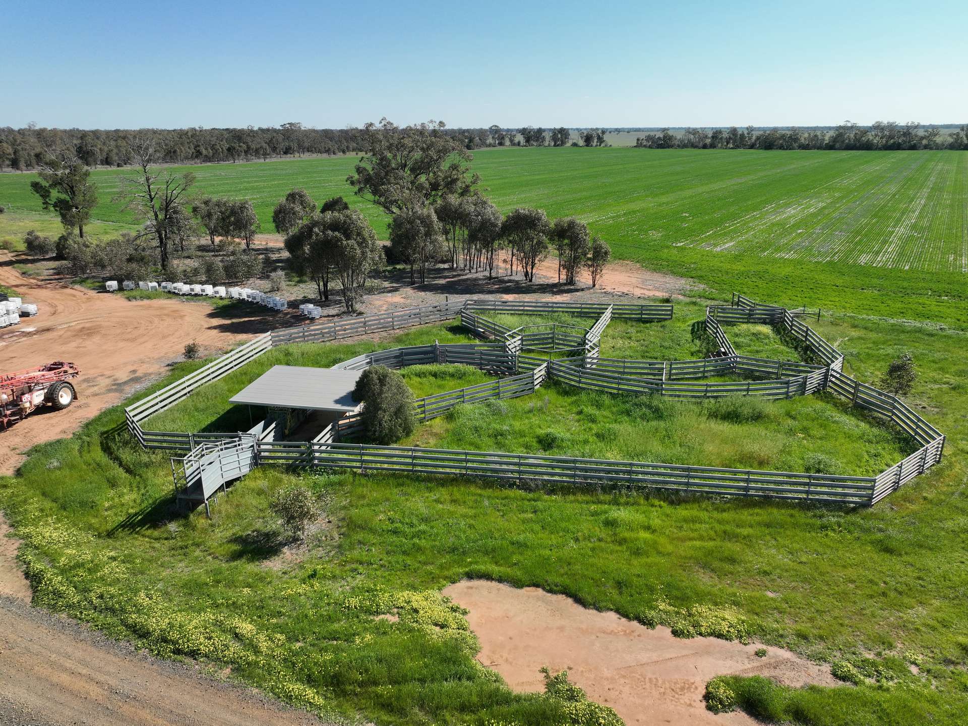 'The Pines' 211 Dicks Camp Road, Collie For Sale by Farmbuy.com - image 5