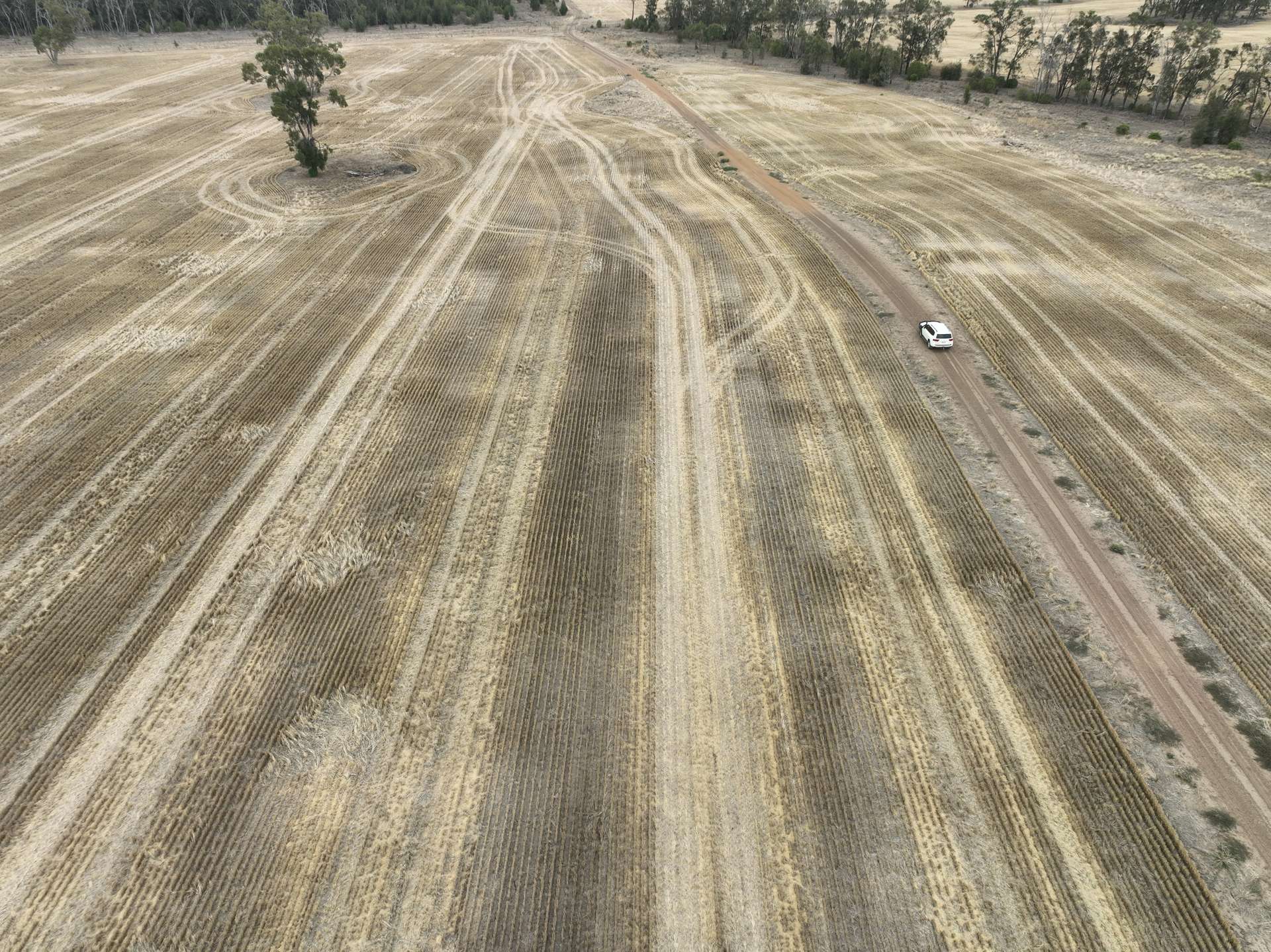 'The Pines' 211 Dicks Camp Road, Collie For Sale by Farmbuy.com - image 24